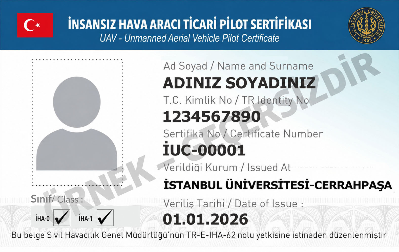 İHA-0 ve İHA-1 yetkilerinin birlikte yer aldığı belge örneği